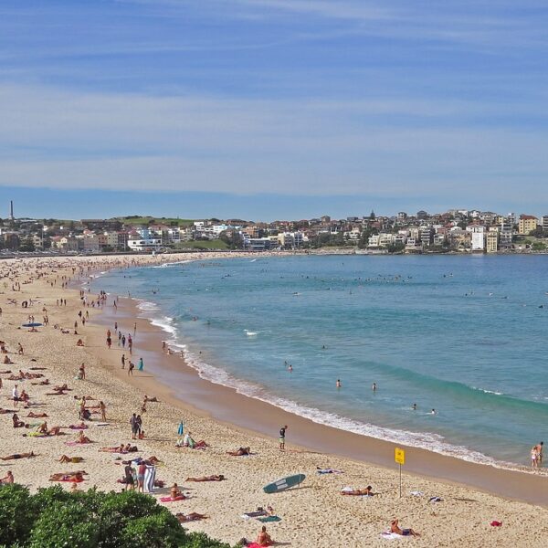 bondi, beach, surf-.jpg